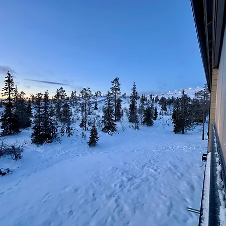 Apartment Horizon By Aavalevi Holidays, Ski-in Ski-out, Mountain View