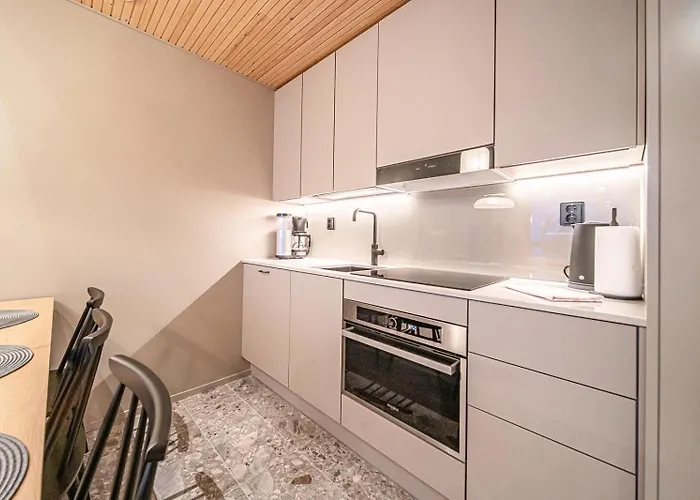 Horizon Ski-in Ski-out By Aavalevi * Levi