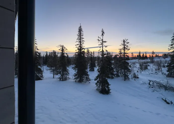 Horizon Ski-in Ski-out By Aavalevi *